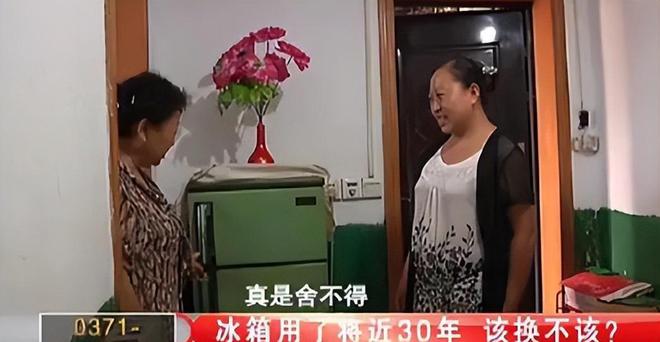 花如今三家易主只剩下一家成为一线品牌K8凯发·国际网站中国冰箱界的四朵金
