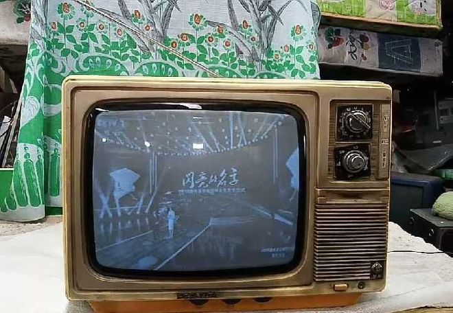 花如今三家易主只剩下一家成为一线品牌K8凯发·国际网站中国冰箱界的四朵金(图6)