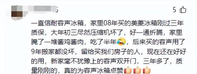 花如今三家易主只剩下一家成为一线品牌K8凯发·国际网站中国冰箱界的四朵金(图10)